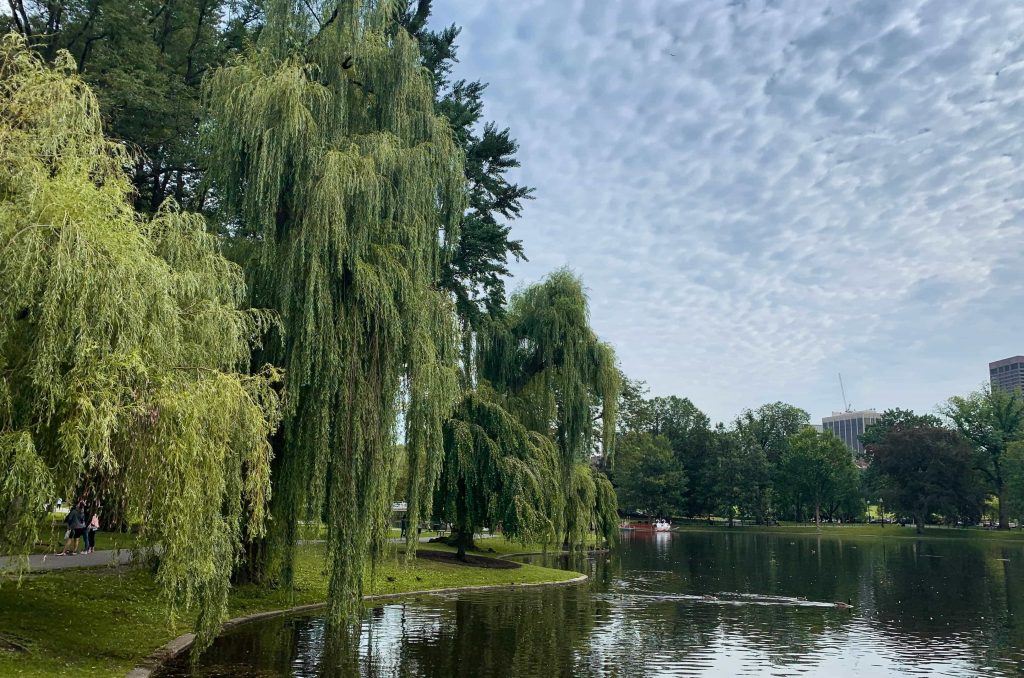 Boston Public Garden